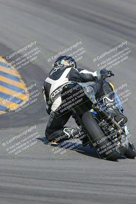 media/Feb-04-2023-SoCal Trackdays (Sat) [[8a776bf2c3]]/Turn 10 Backside (1010am)/